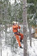 Срубить дерево Срубить дерево